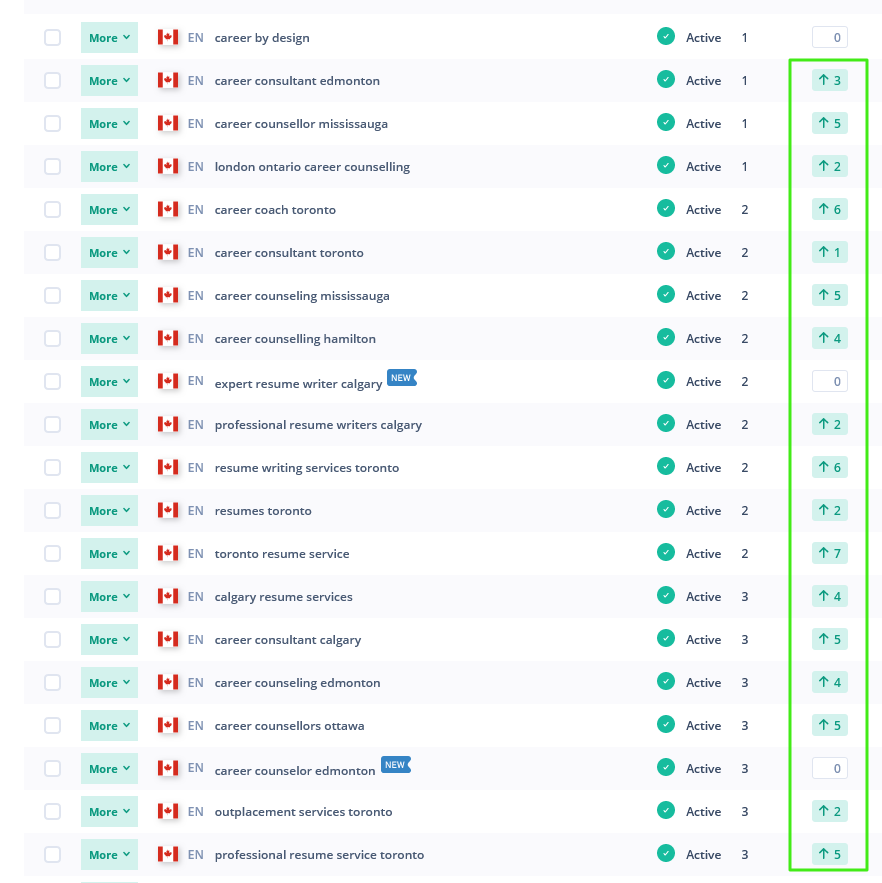 Organic SEO Results